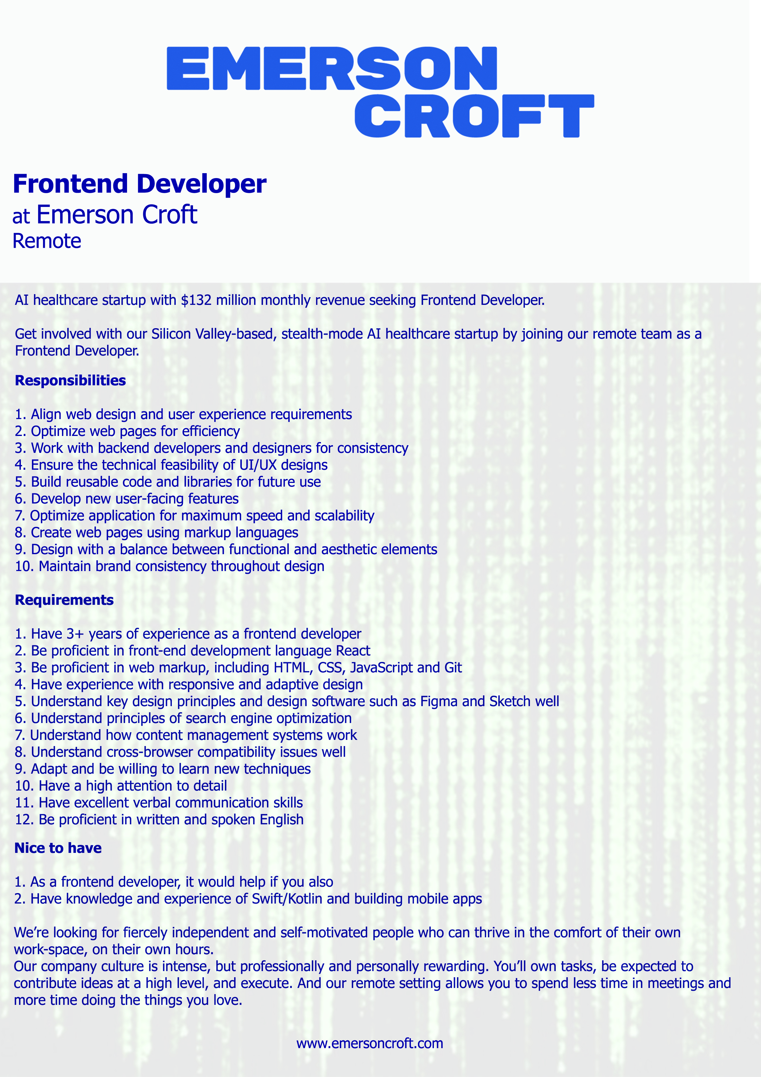 Frontend developer placa
